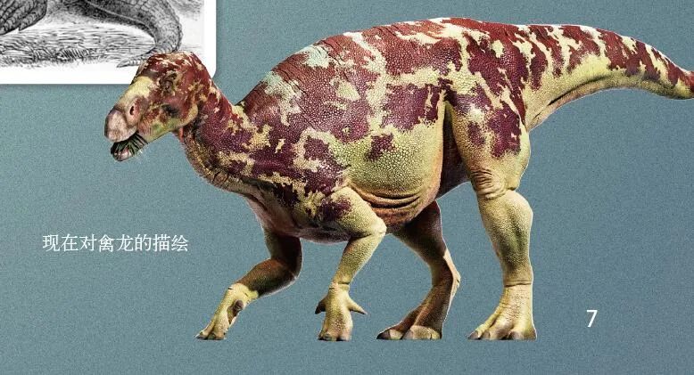 恐龙的模样在"进化"