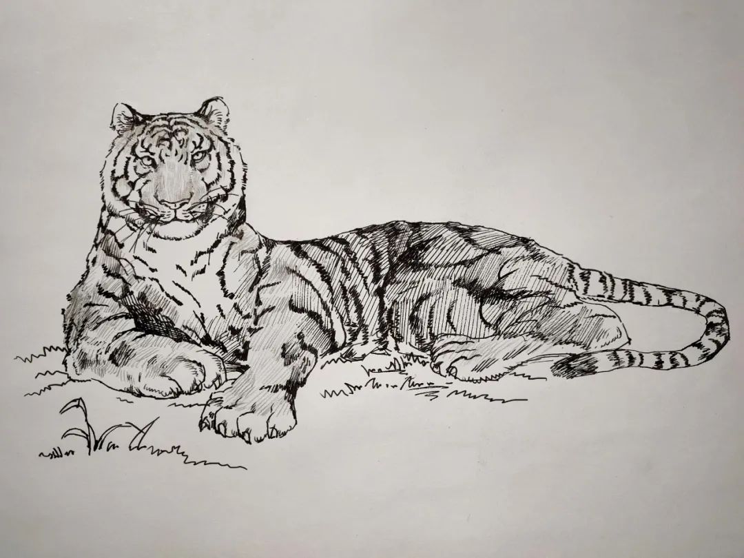 虎图贺岁,第二弹!