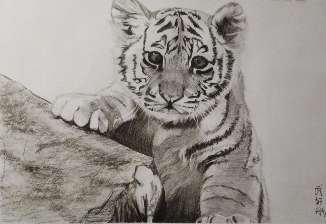 虎图贺岁,第二弹!