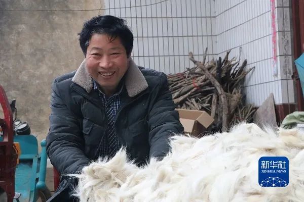 農情快報〔2022.2.7〕2022年黑龍江大豆補貼每畝高于玉米200元左右