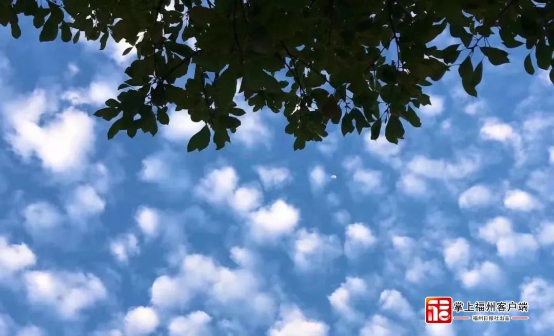 福州！天空之城！世界一流的天翔赞助人