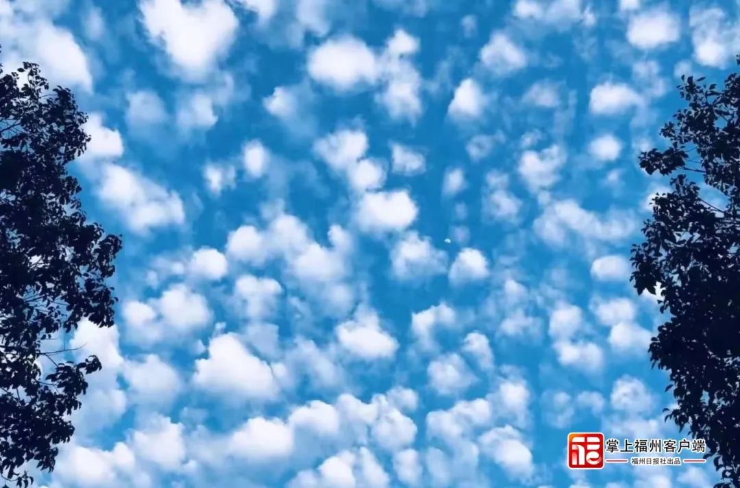 福州！天空之城！世界一流的天翔赞助人