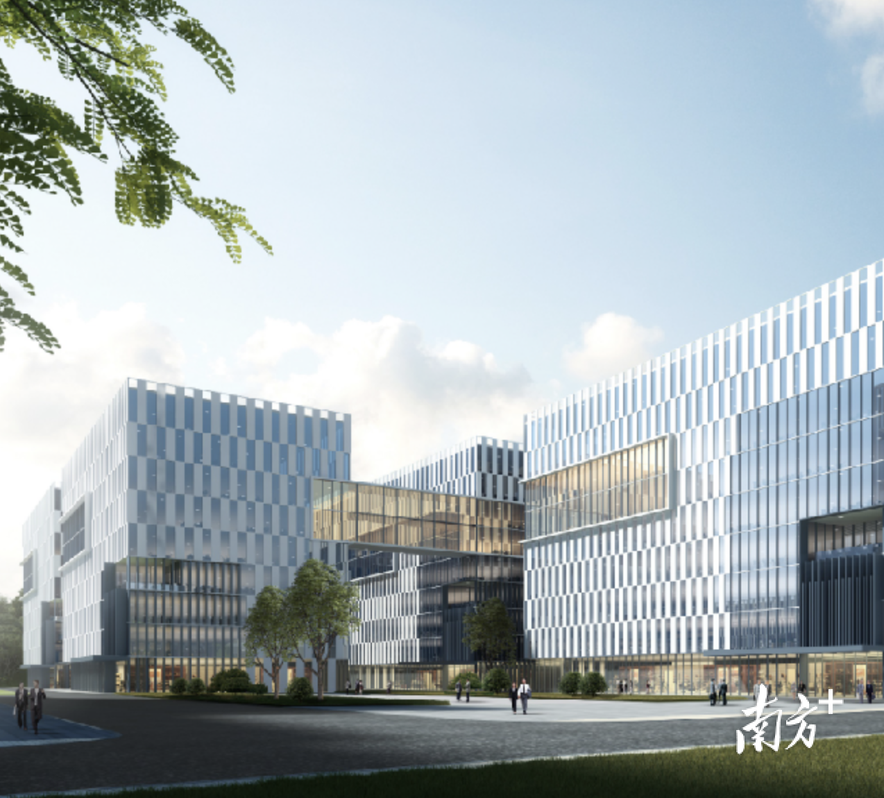 全面推进低效工改，中山三乡投资6亿元建设中医药产业园