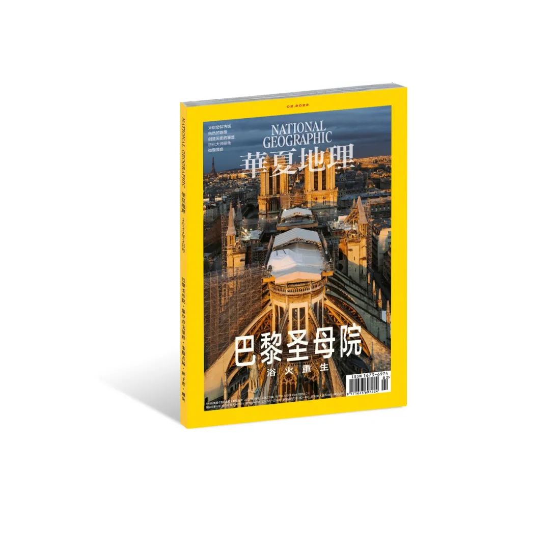 中国也上榜，2022最浪漫的19种春色