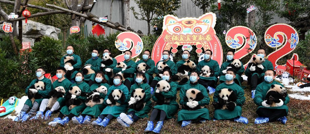 中国奥运会吉祥物是哪些(北京冬奥会｜不只冰墩墩，这些吉祥物的原型也是大熊猫)