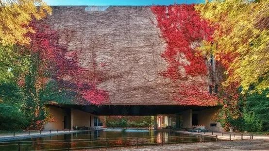 海外优青 | 天津大学诚邀您的加盟！