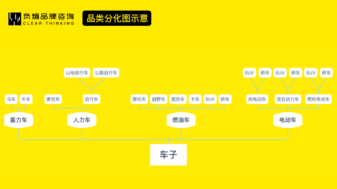 从0到1，科学打造新品牌