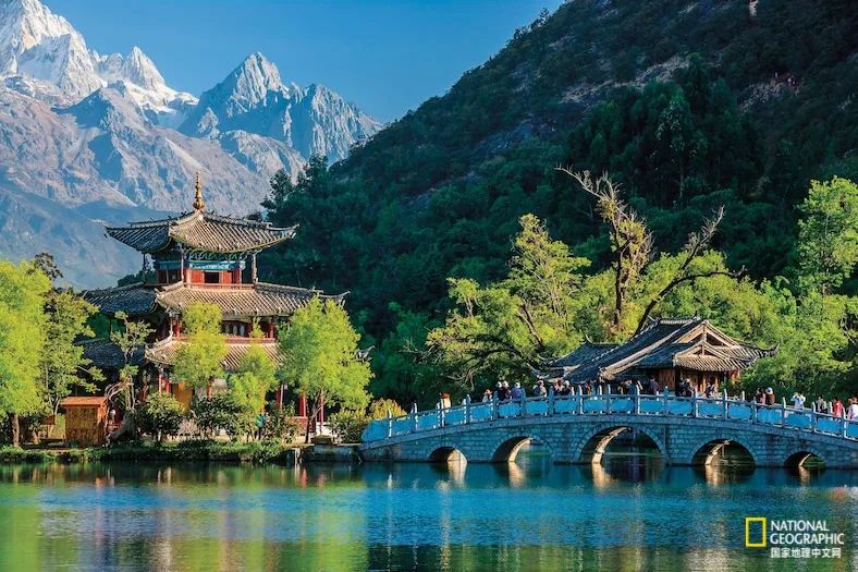 中国也上榜，2022最浪漫的19种春色