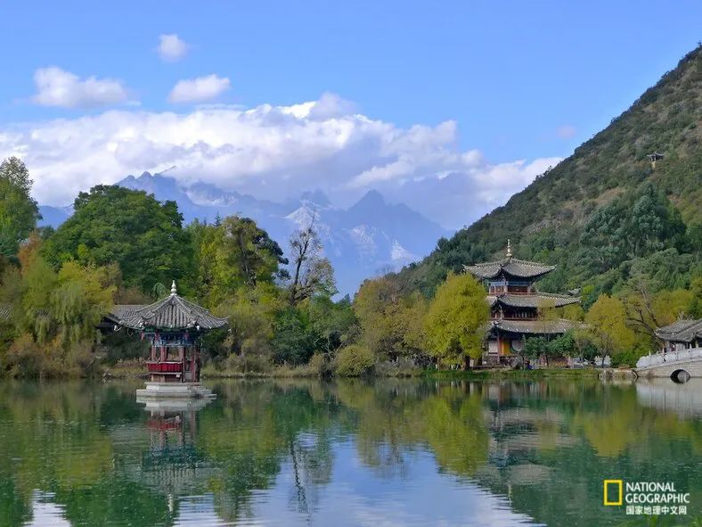 中国也上榜，2022最浪漫的19种春色