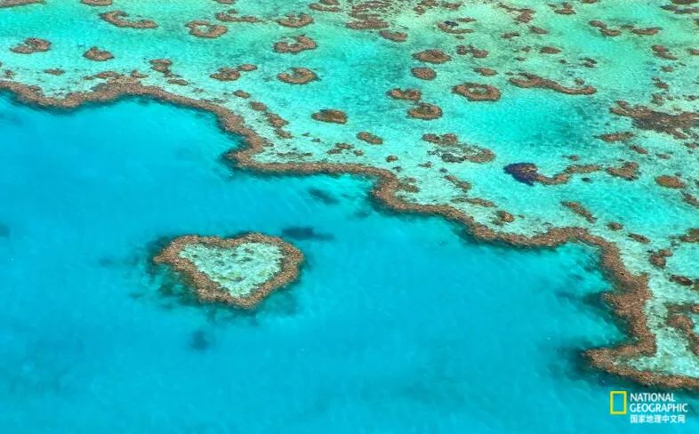 中国也上榜，2022最浪漫的19种春色