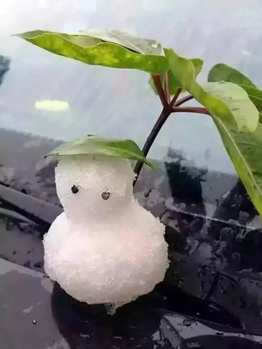 广州 下雪,广州下雪历史记录