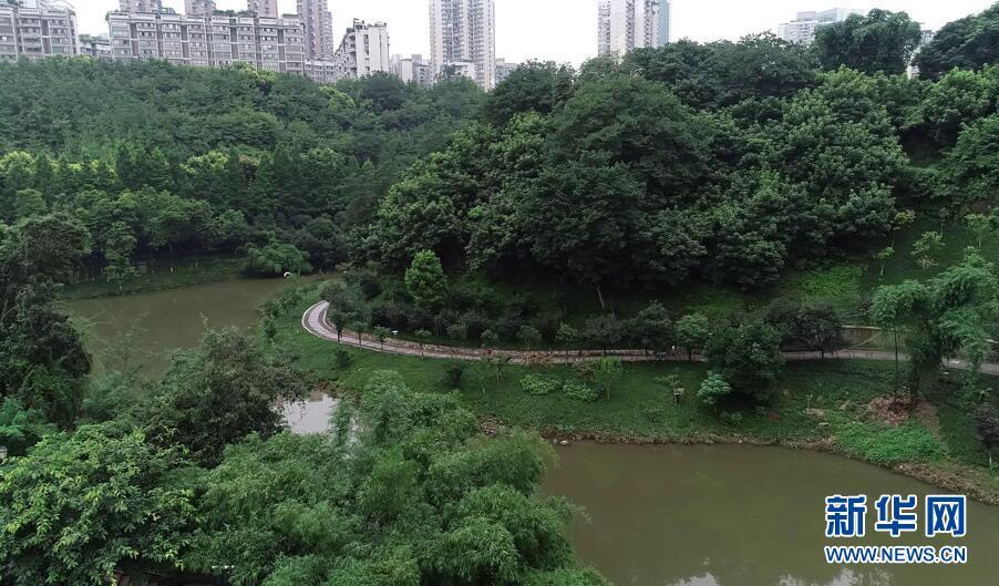 小伙溺亡前投保百萬 保險公司拒賠(圖1)