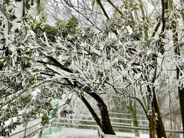 广州 下雪,广州下雪历史记录