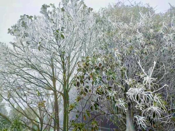 广州 下雪,广州下雪历史记录