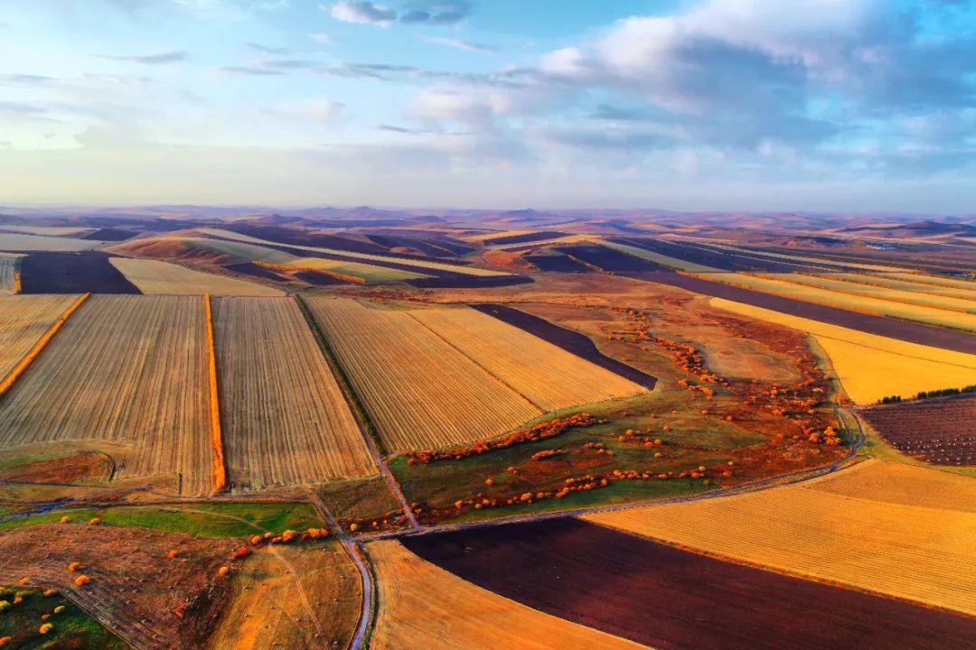 2022年中央一号文件发布！要点速读