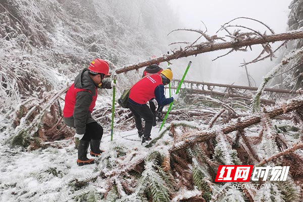 “小行动”保障“大民生”——双牌县防冻除雪纪实