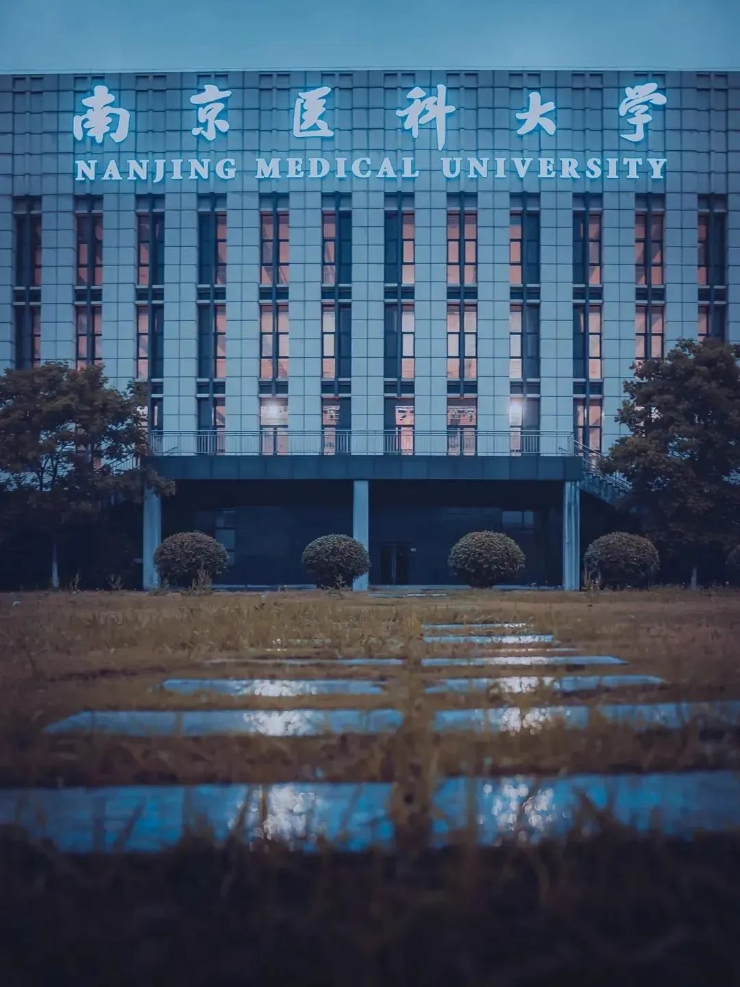 医科类大学（大学丨新晋）