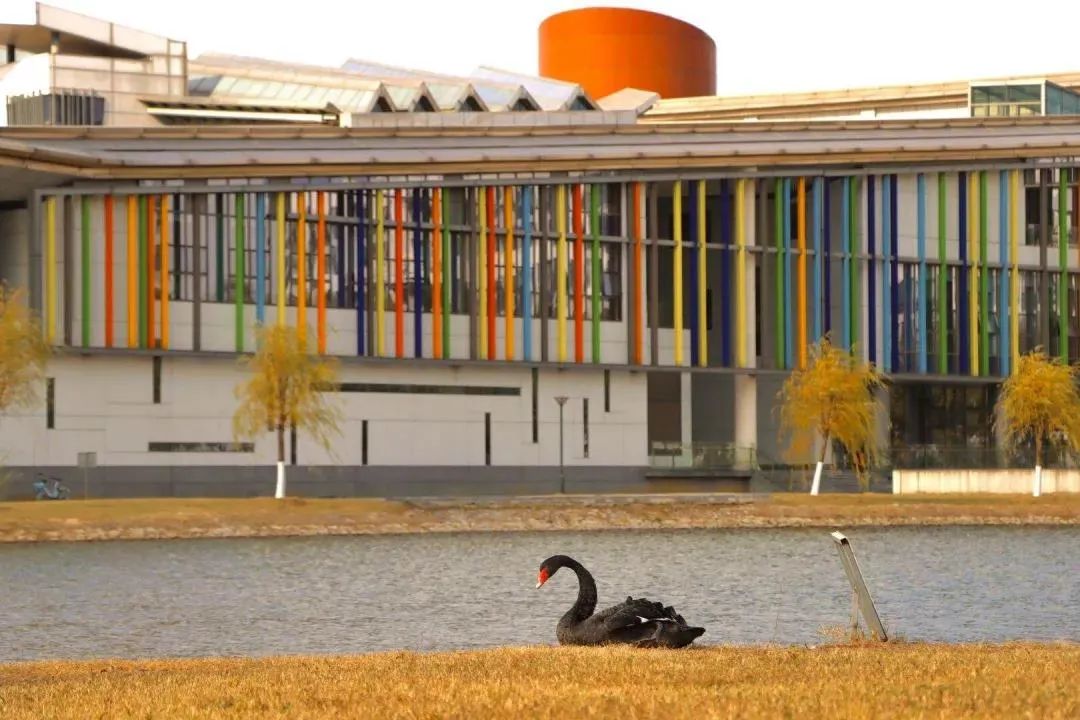 大学丨新晋“双一流”：这所医科大学凭实力入选，今年要涨分？