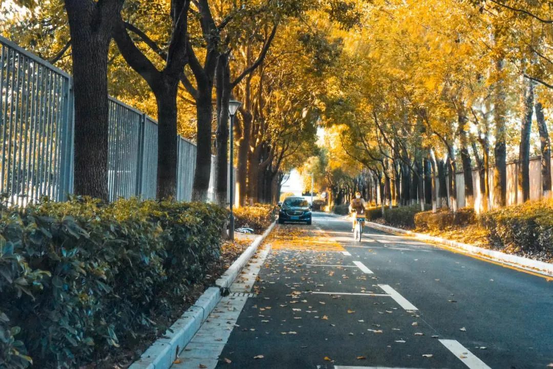 大学丨新晋“双一流”：这所医科大学凭实力入选，今年要涨分？