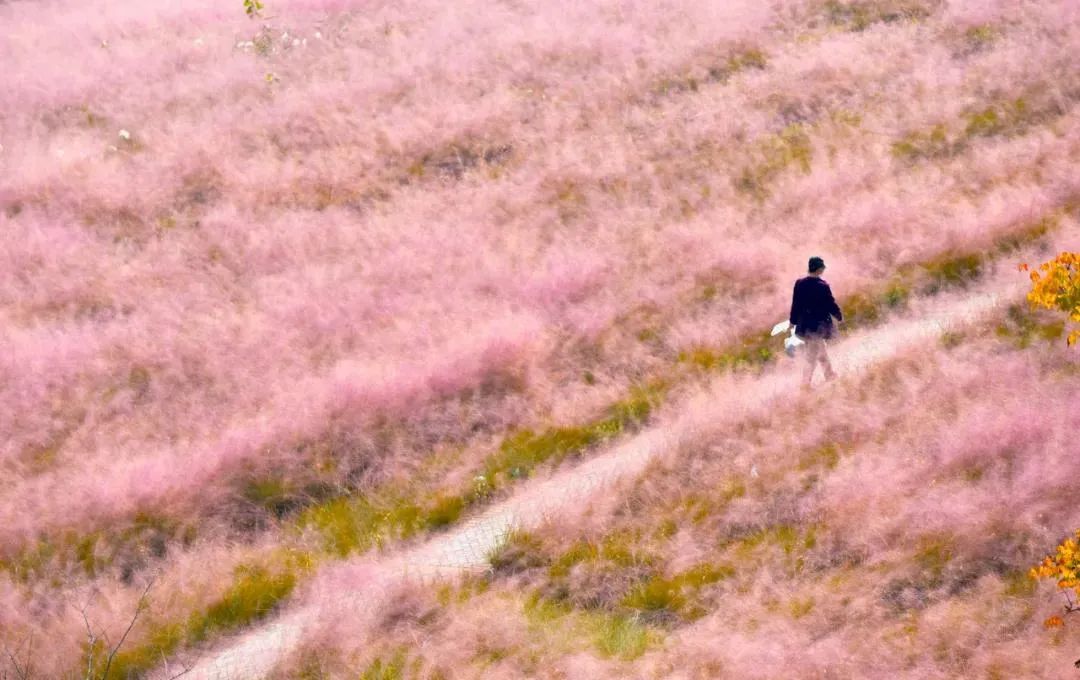 大学丨新晋“双一流”：这所医科大学凭实力入选，今年要涨分？