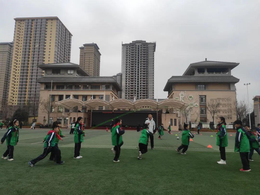 大白杨小学图片