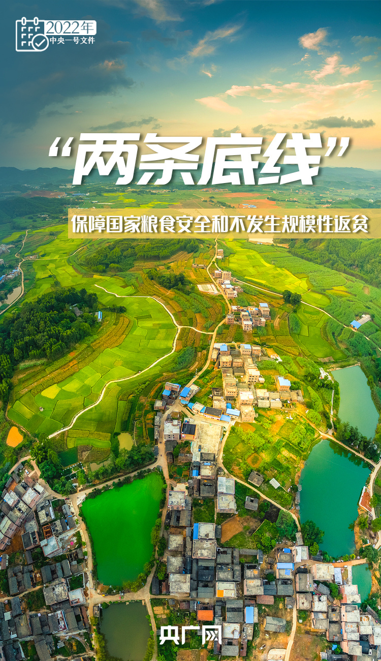 十詞收藏！今年“三農(nóng)”工作這樣干