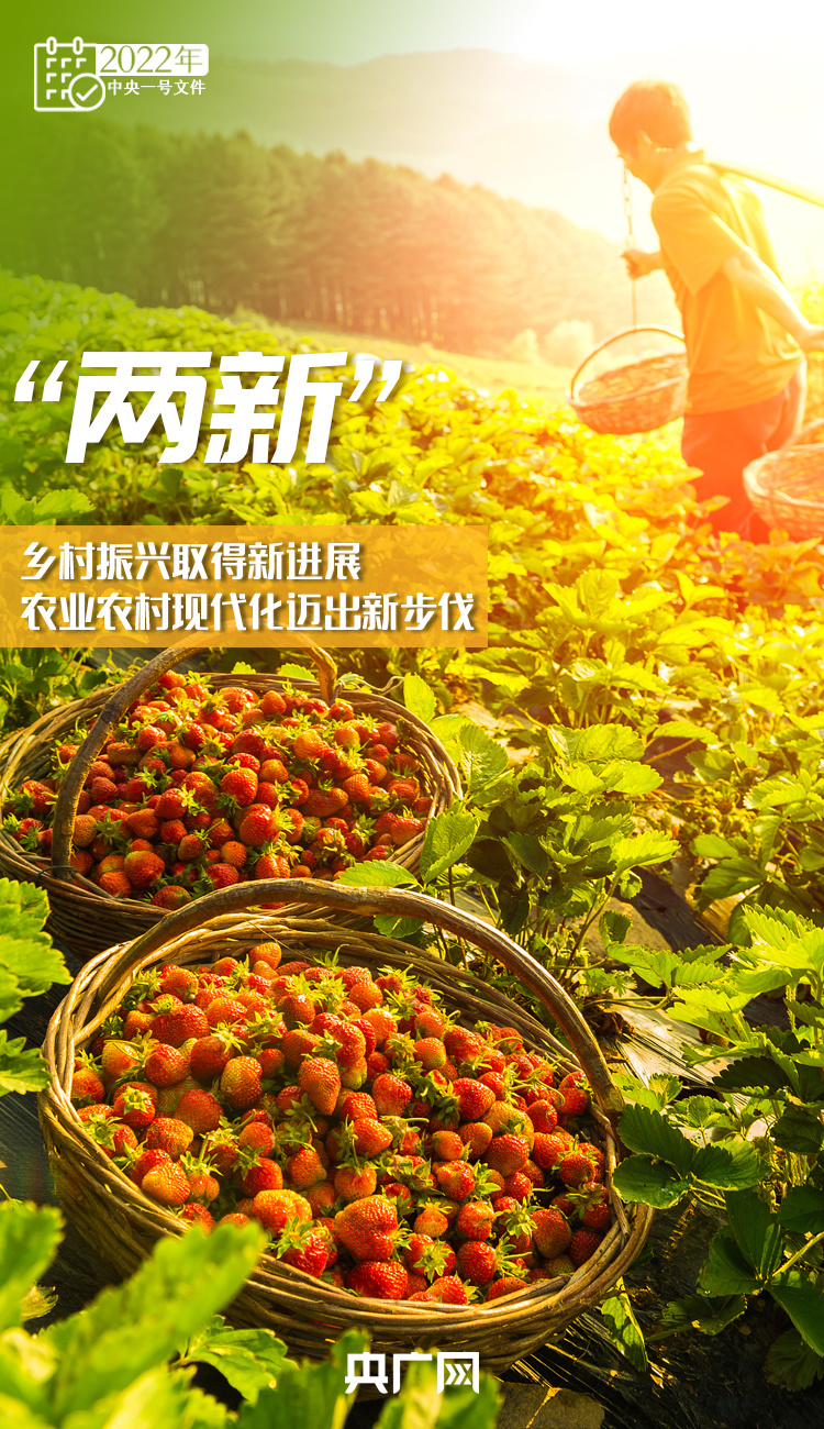 十詞收藏！今年“三農(nóng)”工作這樣干