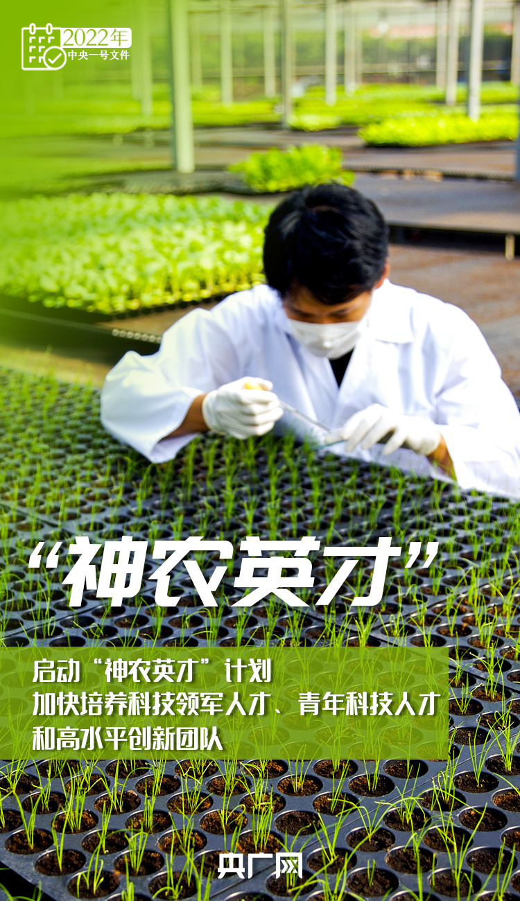 十詞收藏！今年“三農(nóng)”工作這樣干
