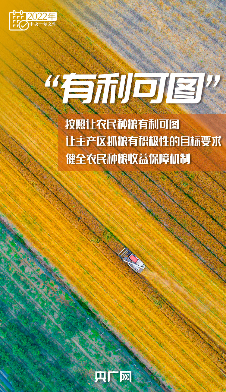 十詞收藏！今年“三農(nóng)”工作這樣干