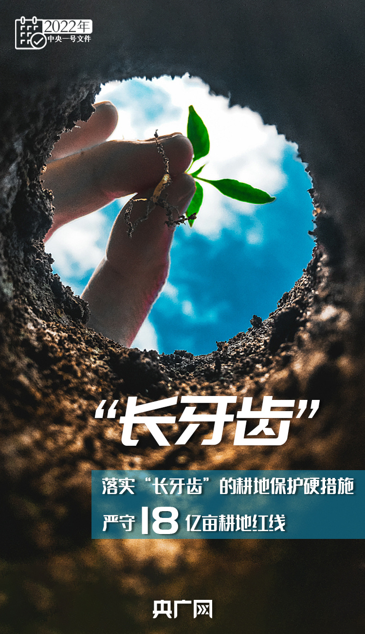 十詞收藏！今年“三農(nóng)”工作這樣干