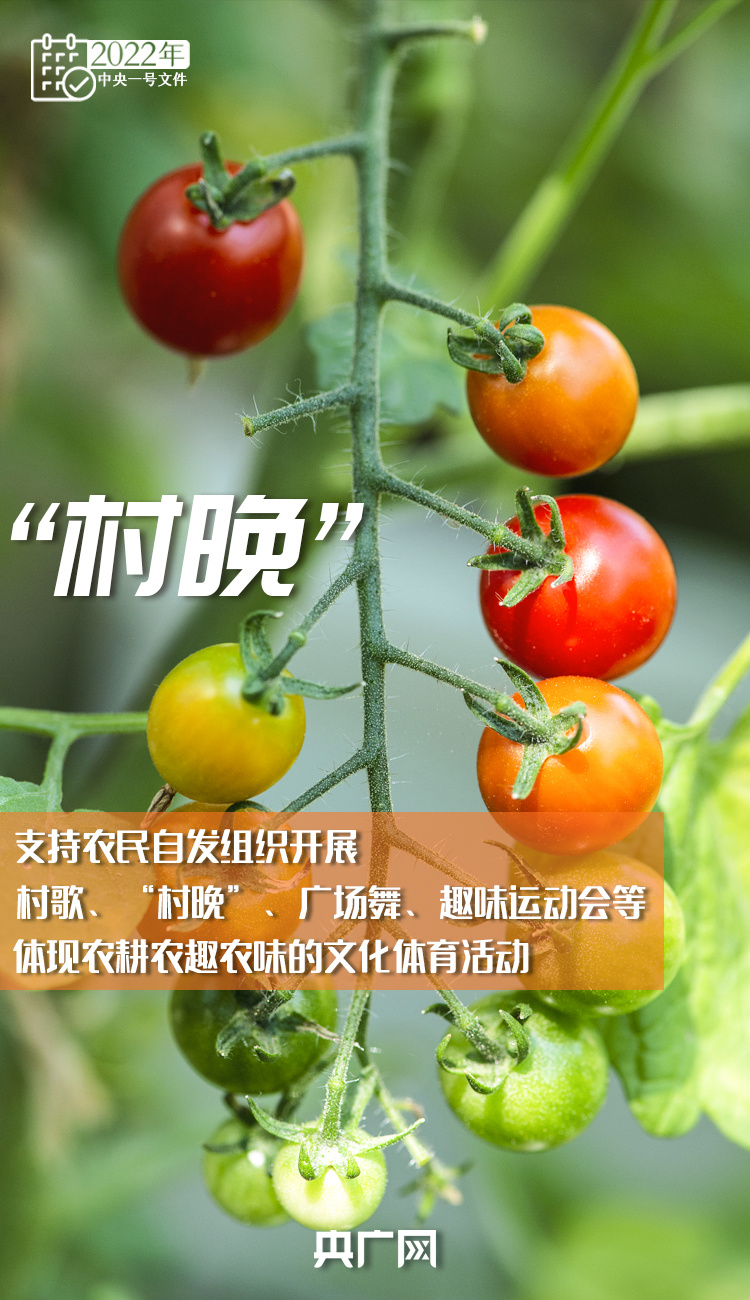 十詞收藏！今年“三農(nóng)”工作這樣干