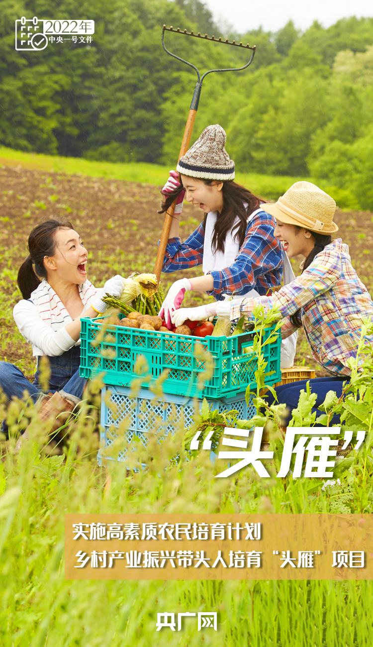 十詞收藏！今年“三農(nóng)”工作這樣干