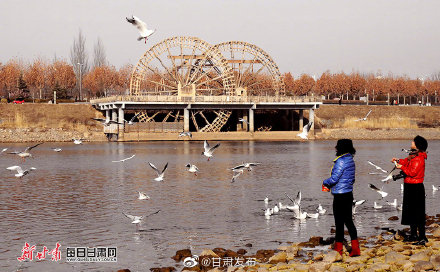 卢辰黄河曾经春季节日