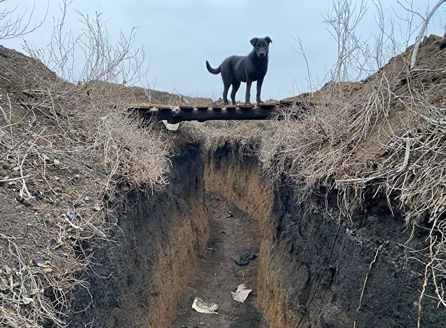 ������̽�ñ������ھ���أ����������˶���͵��µ�ս��