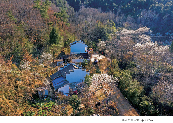 春游湖北旅游名村，寻觅“向往的生活”！