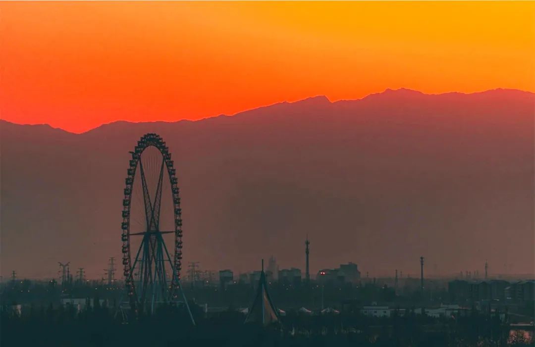 不能出门的春天，我们一起在线逛公园吧！