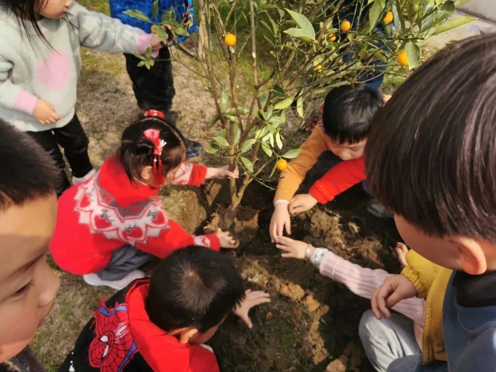 正是春花烂漫时，把最美的校园春景送给你