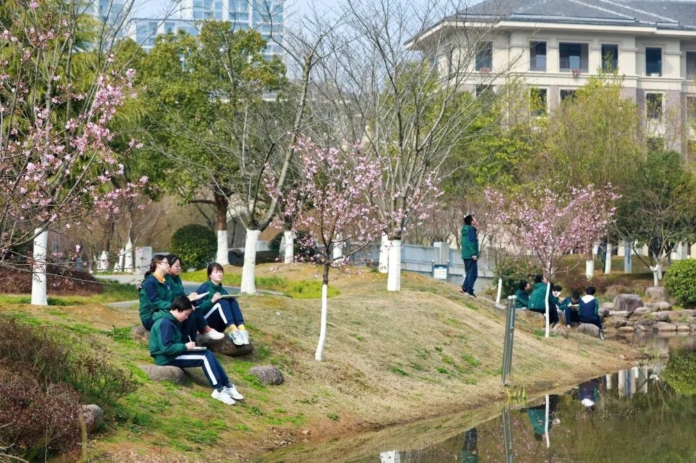 正是春花烂漫时，把最美的校园春景送给你