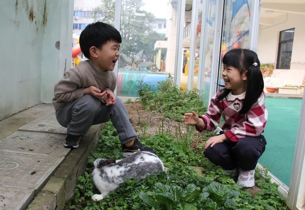 正是春花烂漫时，把最美的校园春景送给你