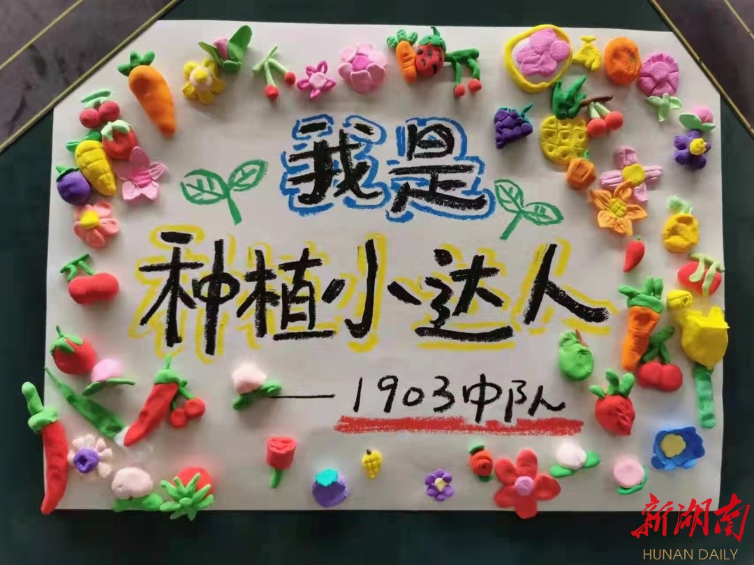 雨花區(qū)楓樹山美聯(lián)小學(xué)首屆種植大賽啟動(dòng)(圖2)