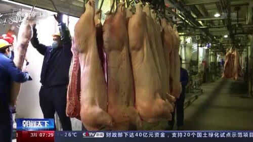 农业农村部：生猪生产供给充足，价格仍将持续下行