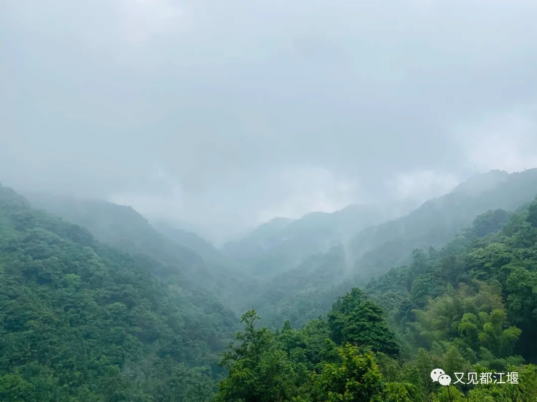 森竹海、阳光下午茶・・住在都江堰这样的新锐民宿，可以轻松享受山林的斯洛伐克