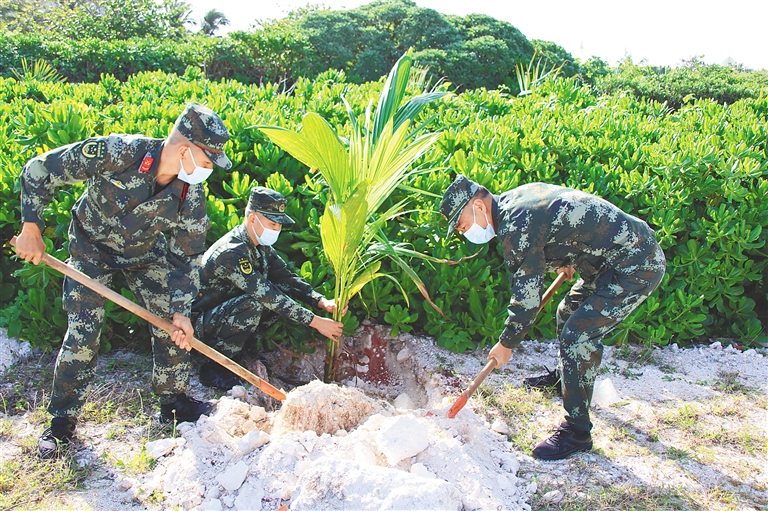 我们的国家“关注森林”