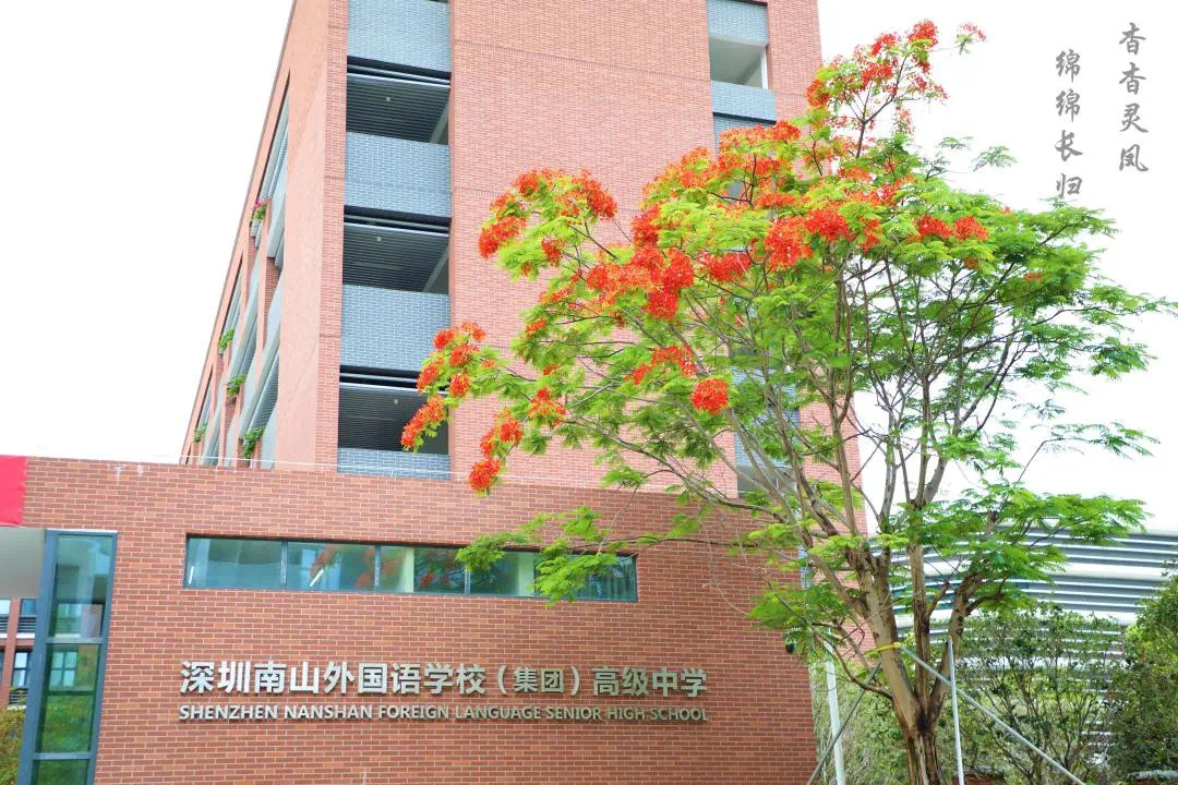 南外初中直升高中嗎,深圳南山外國(guó)語(yǔ)學(xué)校高中部(圖1) 南外初中直升高中嗎,深圳南山外國(guó)語(yǔ)學(xué)校高中部(圖1)