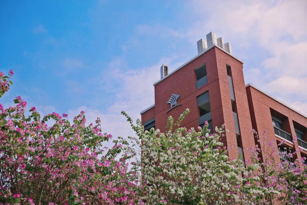 南外初中直升高中嗎,深圳南山外國(guó)語(yǔ)學(xué)校高中部(圖3) 南外初中直升高中嗎,深圳南山外國(guó)語(yǔ)學(xué)校高中部(圖3)