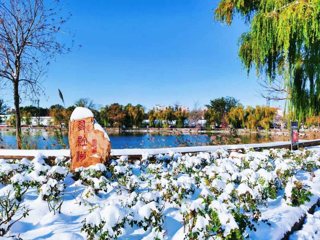 天津大学环境科学与工程学院（天津大学美丽校园推进计划倡议书）