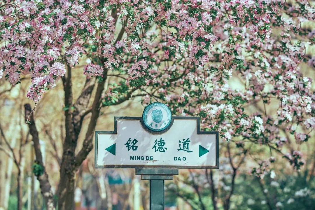 天津大学美丽校园推进计划倡议书