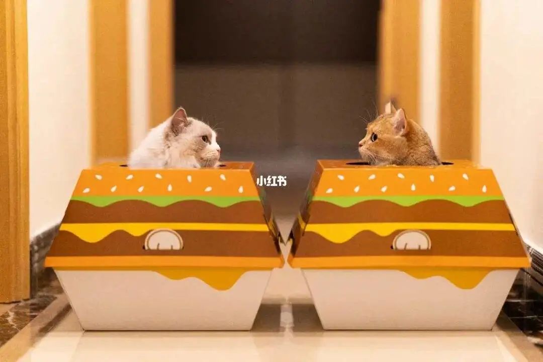 宠物营销三大玩法：猫猫狗狗还能帮品牌赚钱？