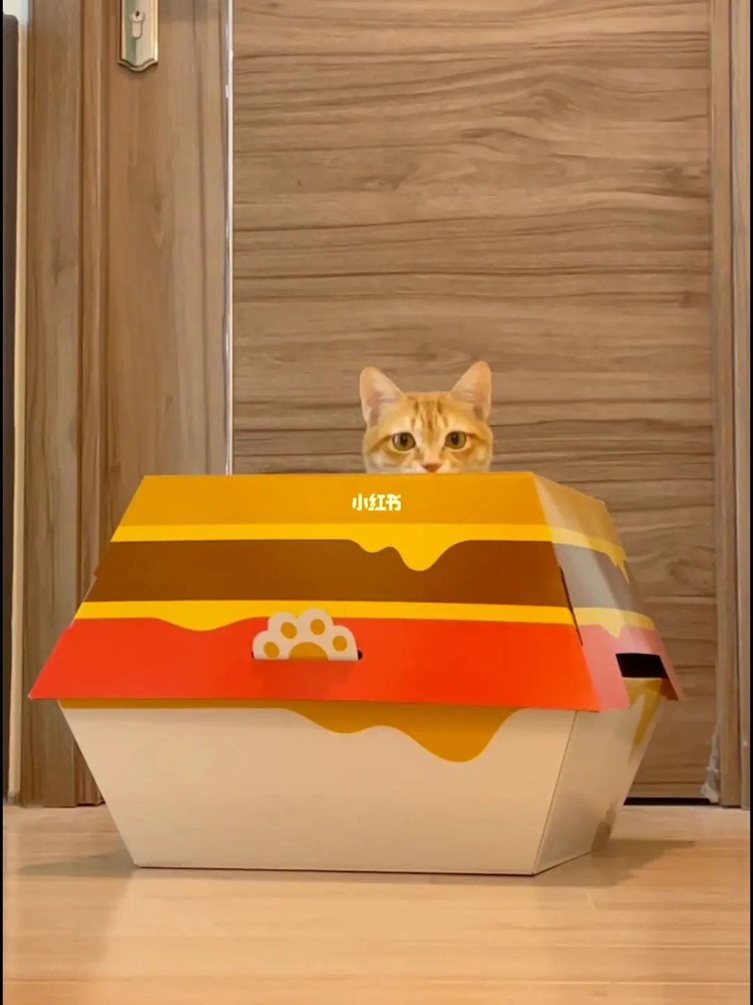 宠物营销三大玩法：猫猫狗狗还能帮品牌赚钱？