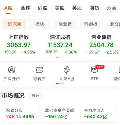 「亿元板块」上证指数是什么（上证指数重挫4.95%失守3100点详解）